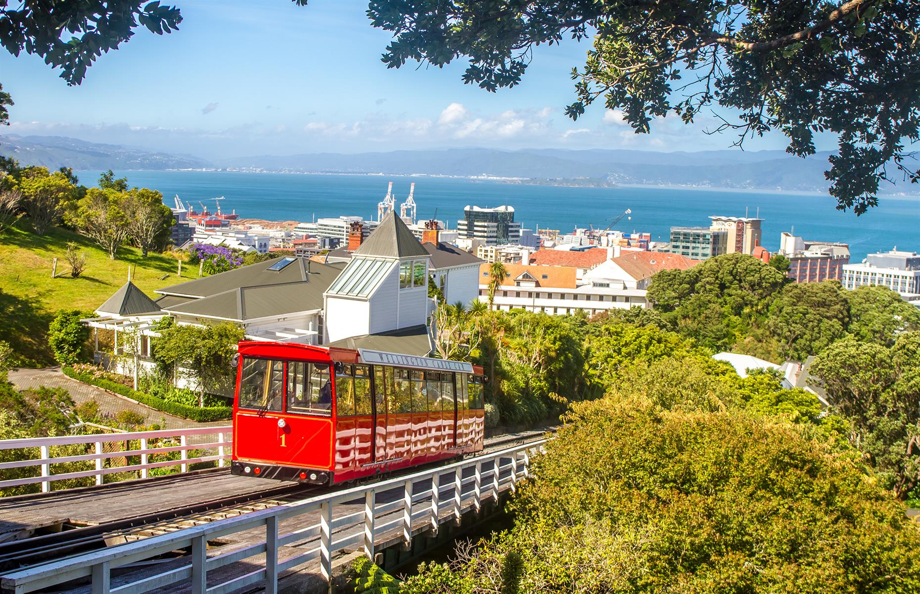 Biggest risers: 4. New Zealand